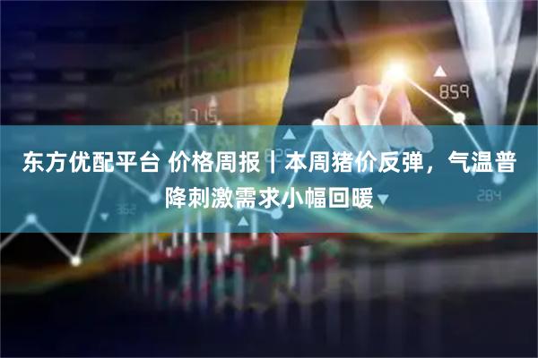 东方优配平台 价格周报｜本周猪价反弹，气温普降刺激需求小幅回暖