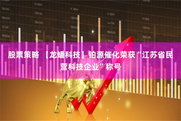 股票策略 【龙蟠科技】铂源催化荣获“江苏省民营科技企业”称号
