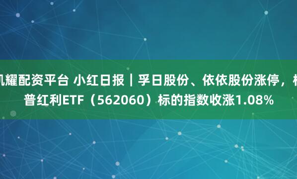 凯耀配资平台 小红日报｜孚日股份、依依股份涨停，标普红利ETF（562060）标的指数收涨1.08%
