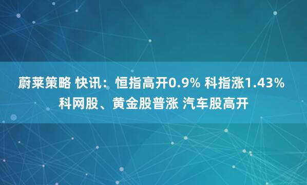 蔚莱策略 快讯：恒指高开0.9% 科指涨1.43% 科网股、黄金股普涨 汽车股高开